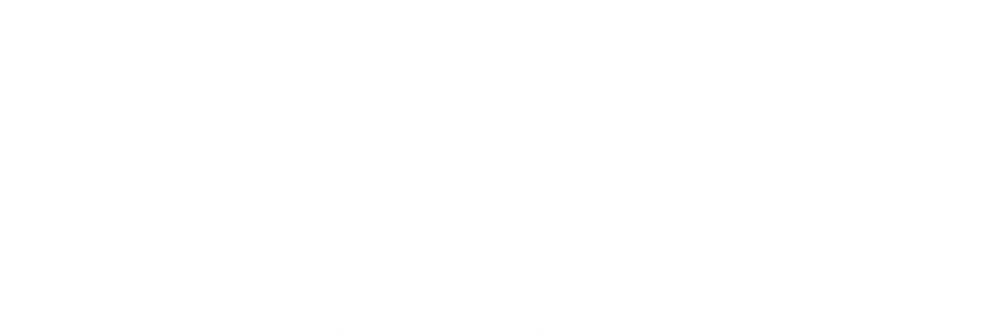 Bétula Consultoria